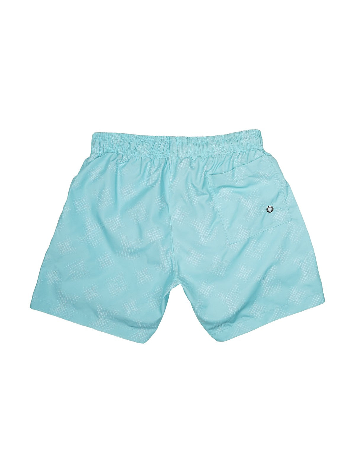 Louis Vuitton Swim Shorts (Aqua)