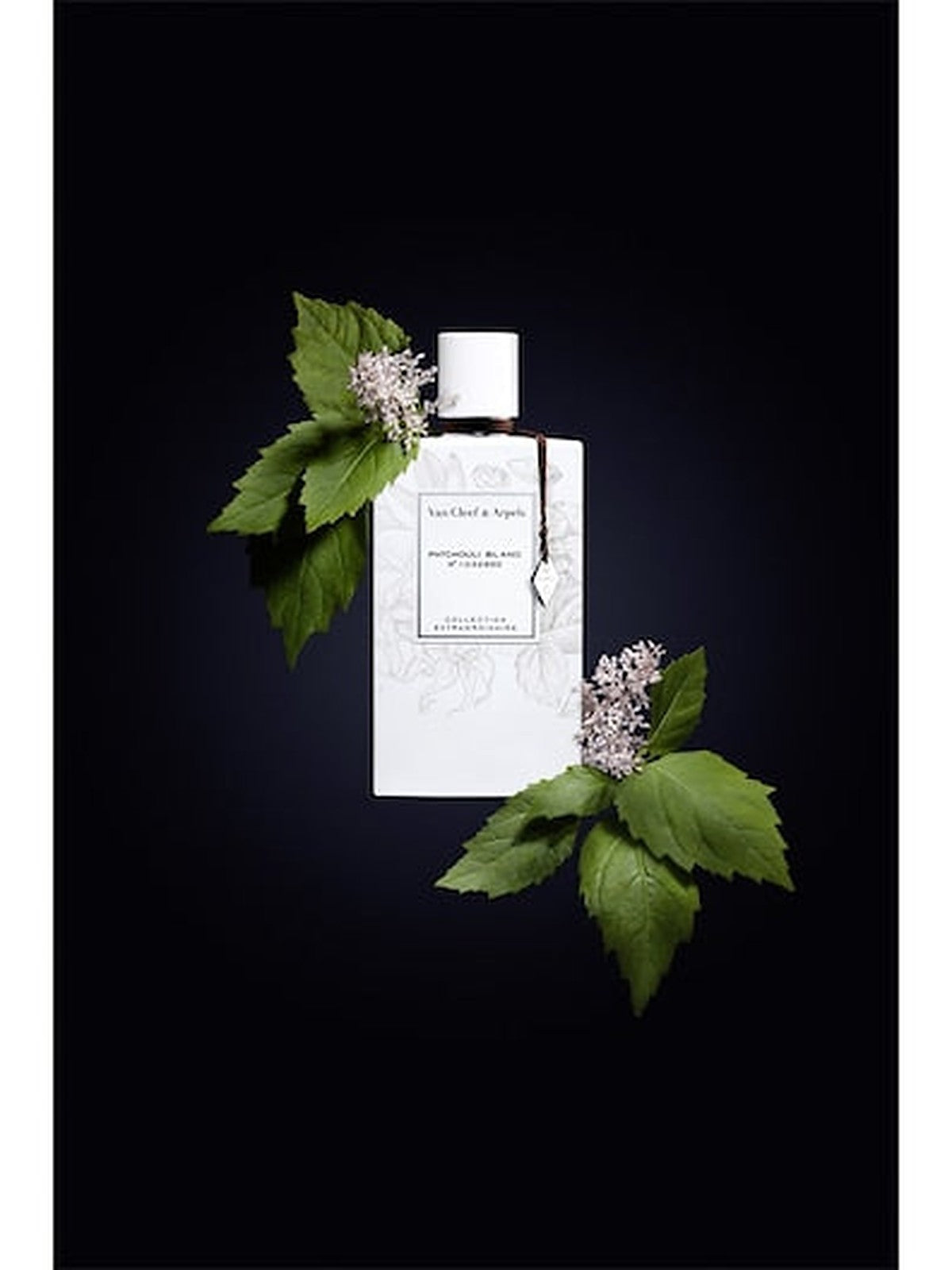 Van Cleef & Arpels Patchouli Blanc