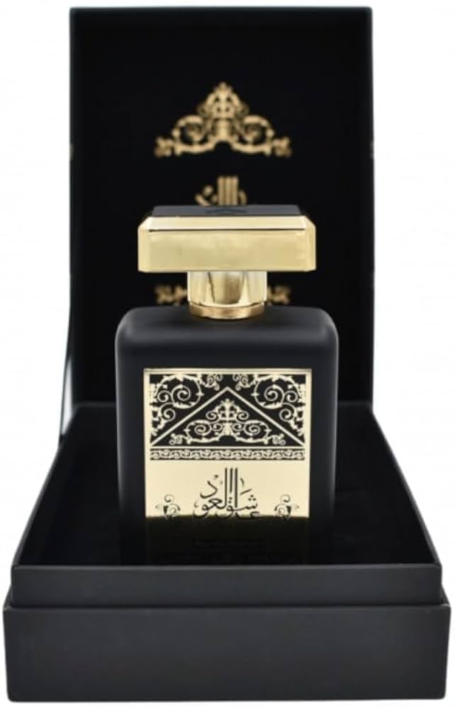 ALMAS PERFUMES Ashek Al Oud Eau de Parfum 100 ml