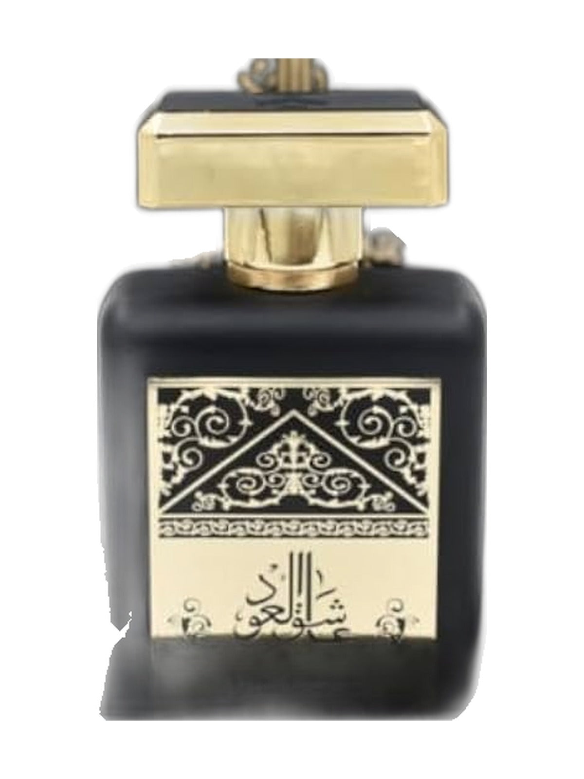 Almas Perfumes Ashek Al Oud Eau de Parfum 100 ml