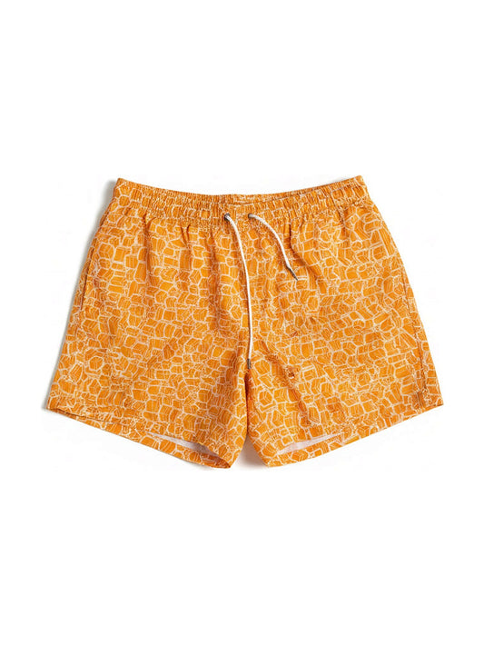 Hermès swim shorts (orange print)